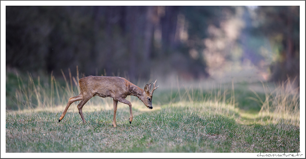 3Z2A7395-small.jpg