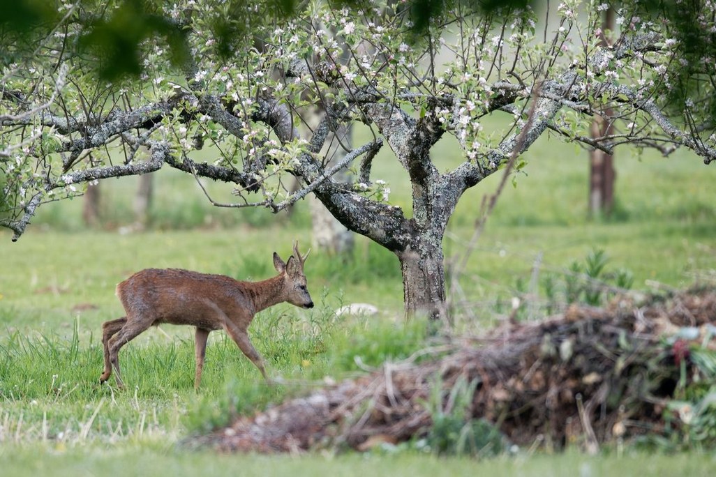 DSC_6817_DxO.jpg