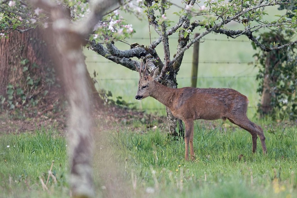 DSC_6825_DxO.jpg