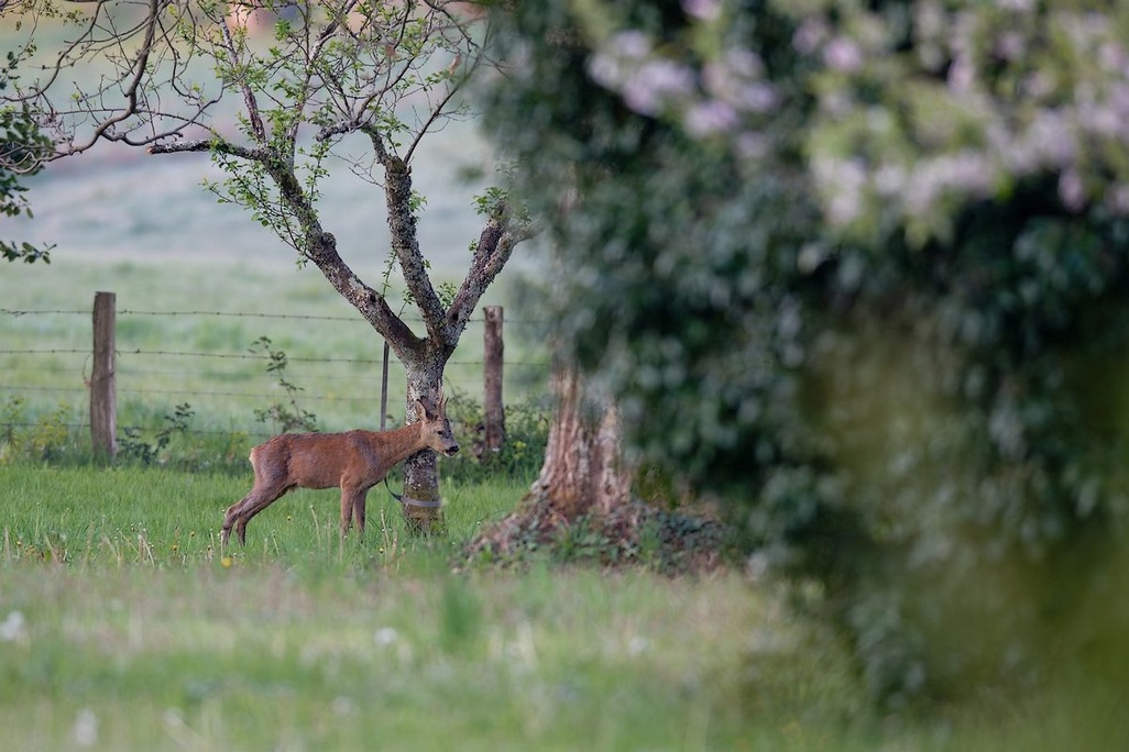 DSC_6830_DxO.jpg