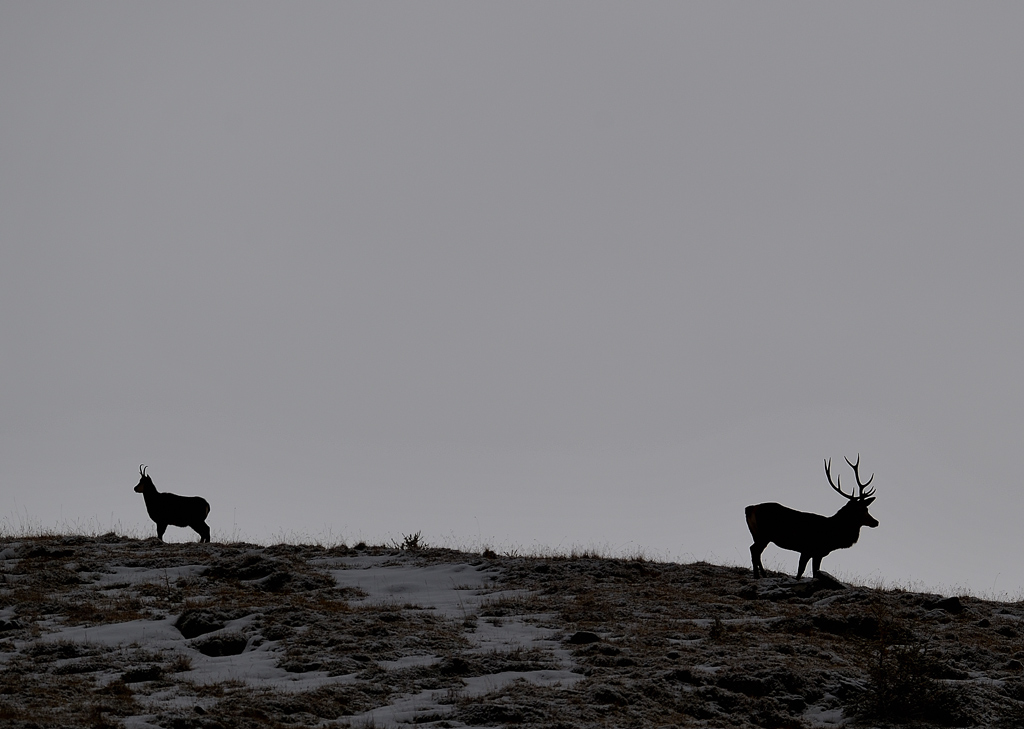 -DS5_2615.jpg