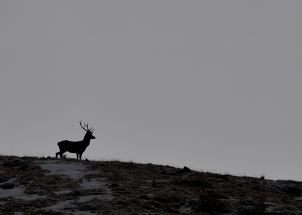 -DS5_2622.jpg