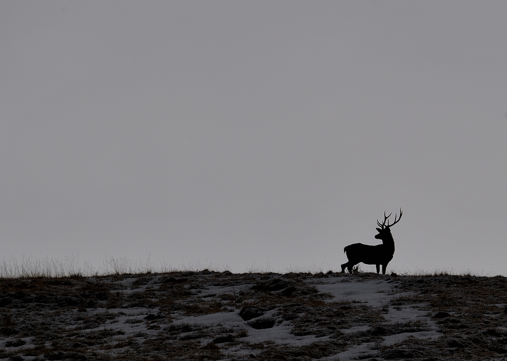 -DS5_2624.jpg