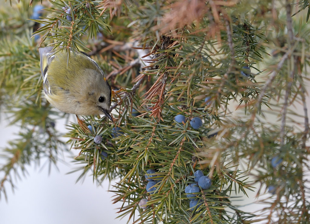 DS5_4852.jpg