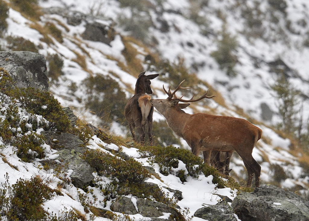 -DS5_2715.jpg