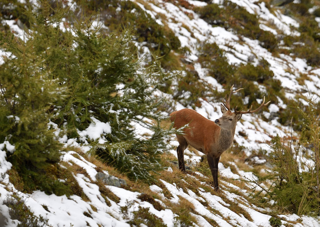 -DS5_2722.jpg