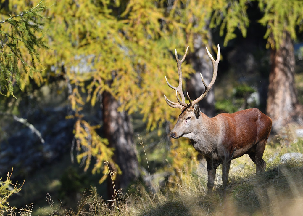 -DS5_2834.jpg