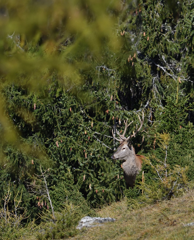 -DS5_2873.jpg