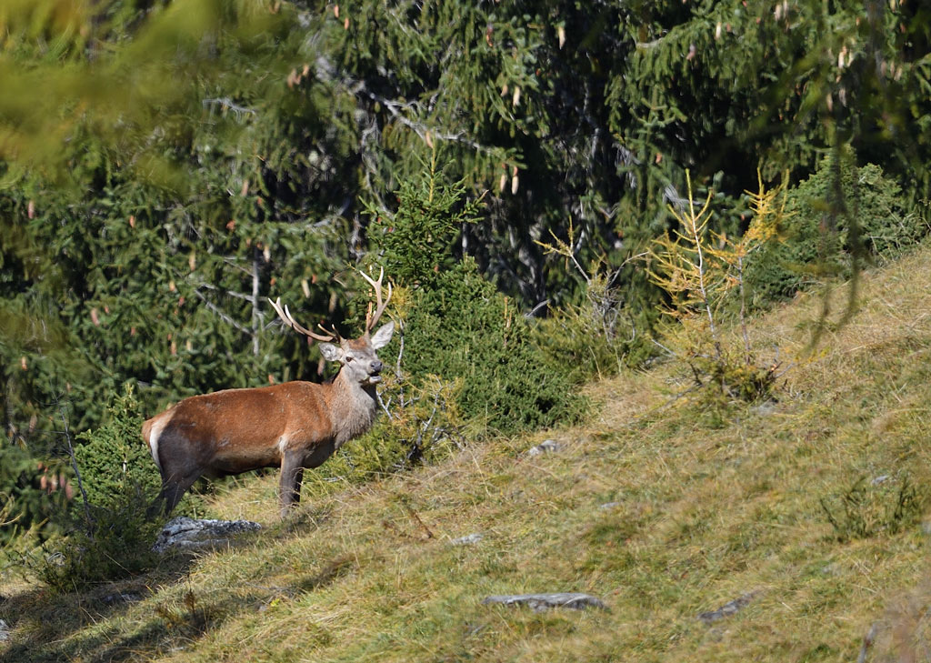 -DS5_2881.jpg