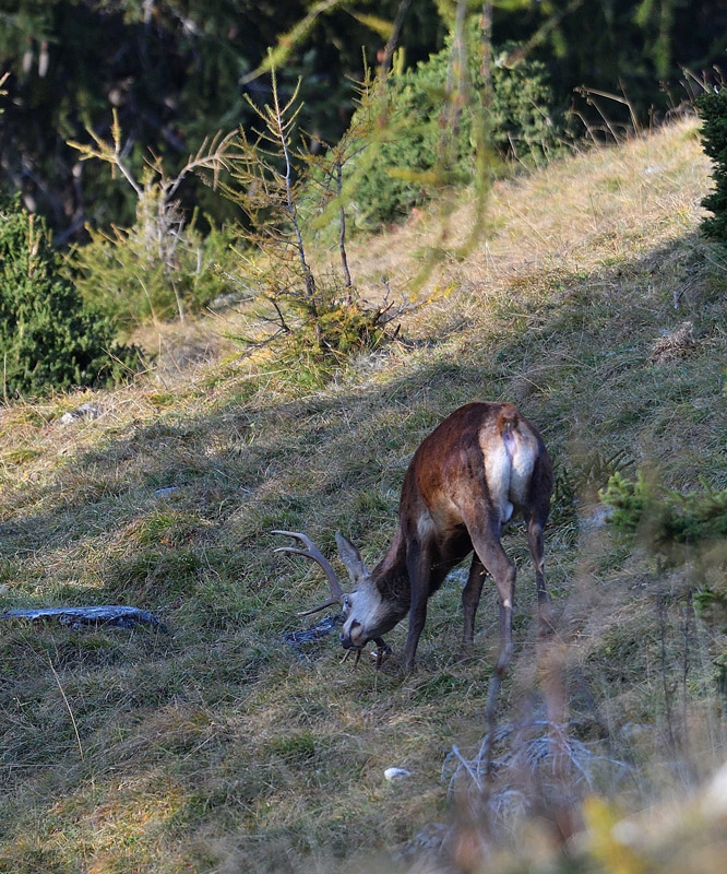 -DS5_2903.jpg