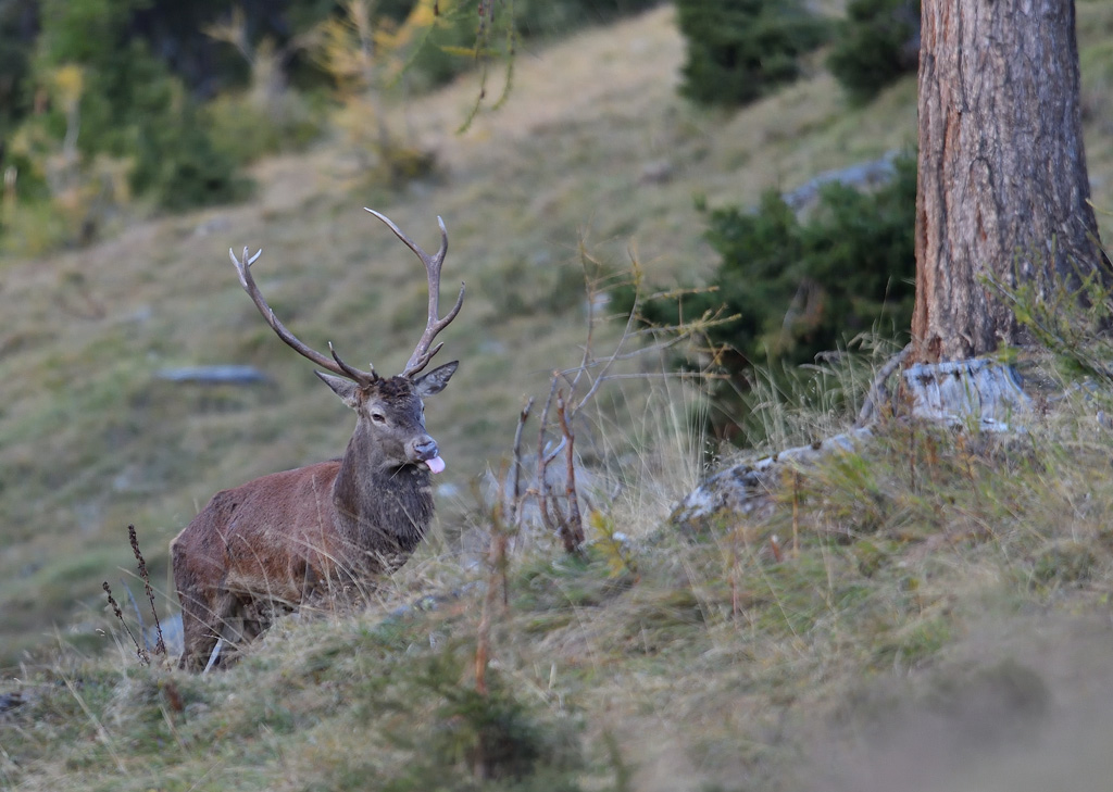 -DS5_2915.jpg