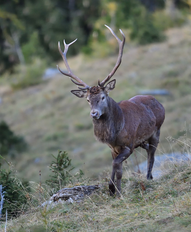-DS5_2922.jpg