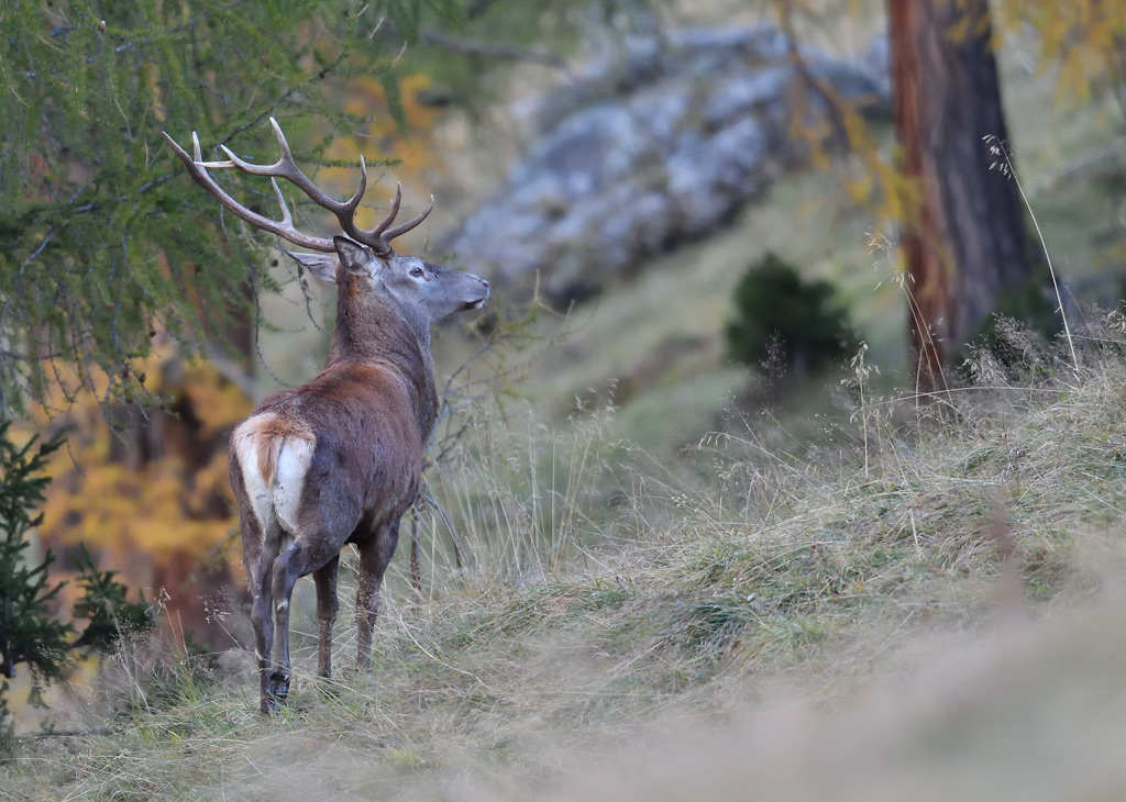 -DS5_2927.jpg