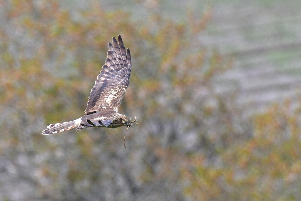 DSC_9813.JPG