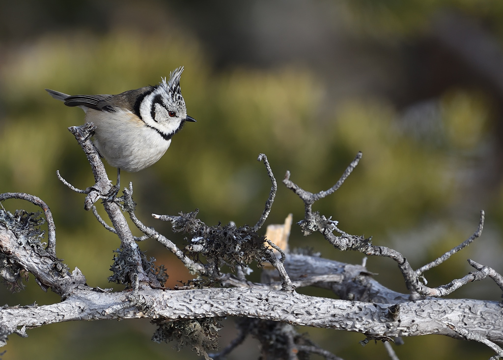DS5_5094.jpg