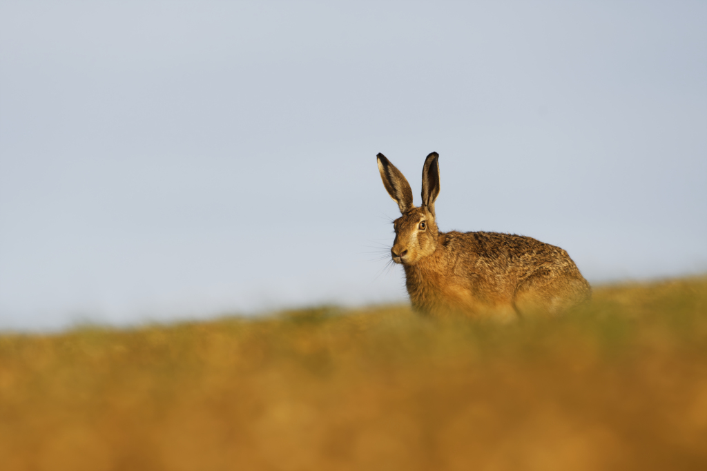 _DSC6862_DxO_DxO.jpg