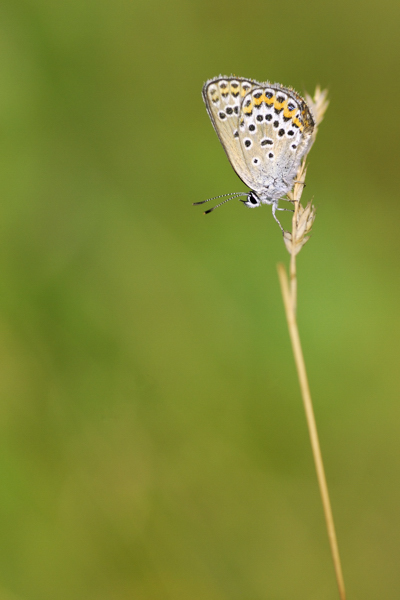 _CEP0725r.jpg