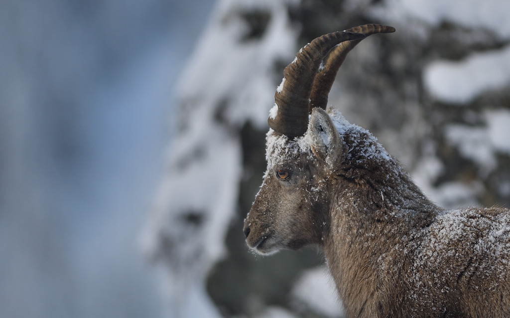 DS5_9638.jpg