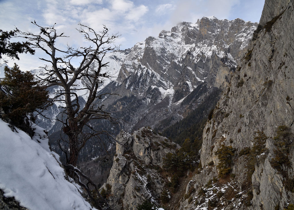 DS5_5184.jpg