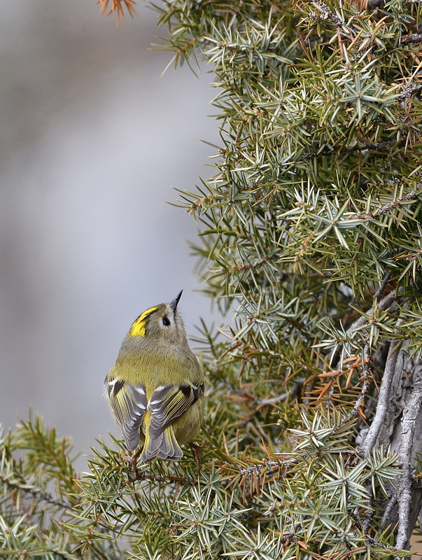 DS5_4858.jpg