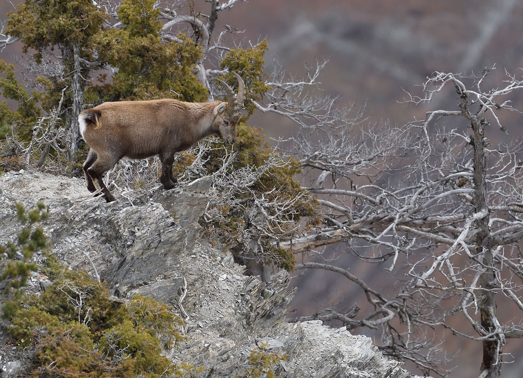 DS5_4871.jpg