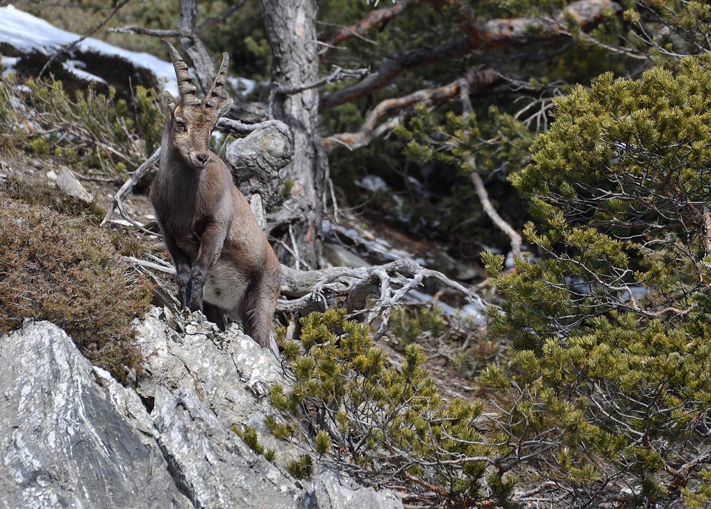 DS5_5112.jpg
