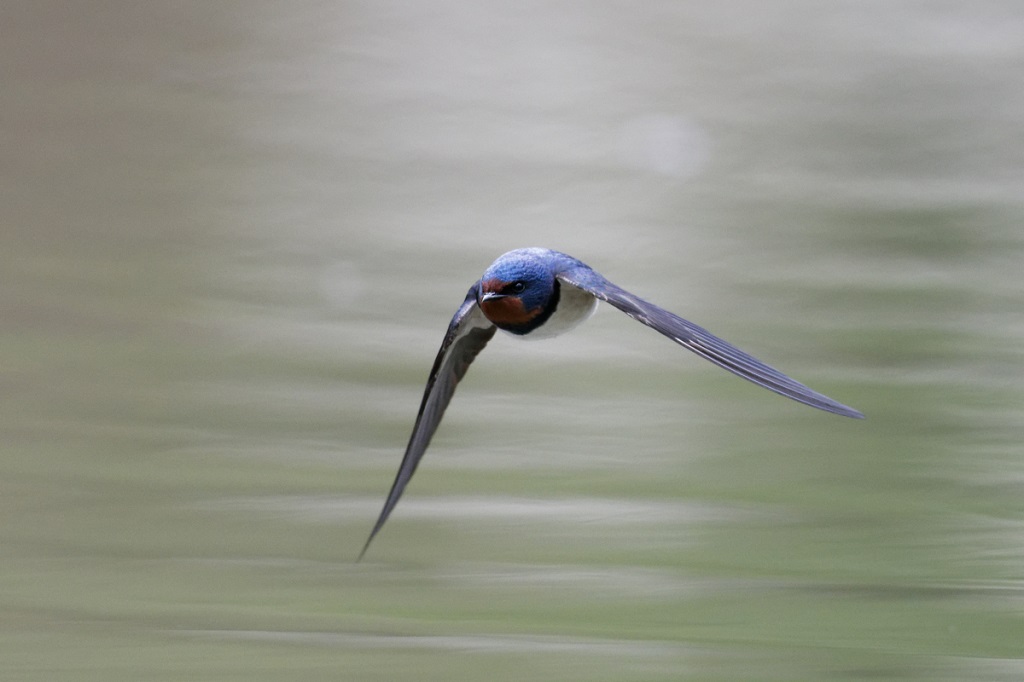 DSC_6612_DxO.jpg