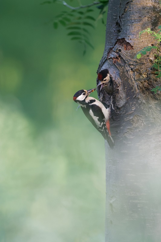 _DSC7661_DxO.jpg