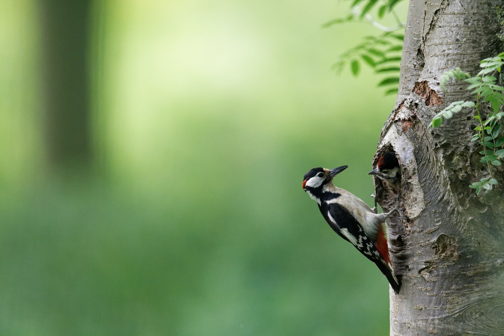 _DSC5048_DxO.jpg