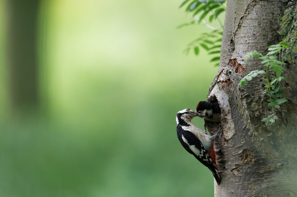_DSC5017_DxO.jpg