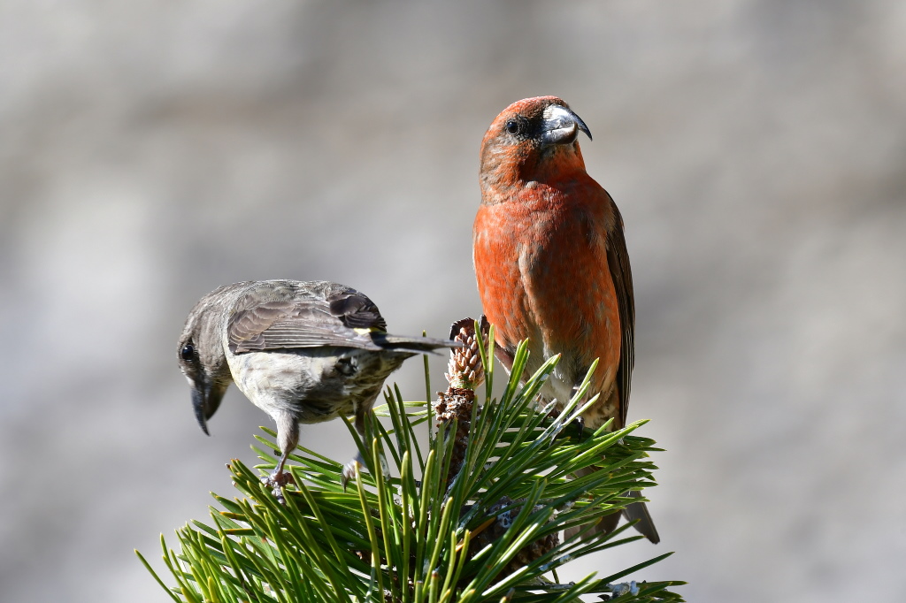 DSC_2341.JPG