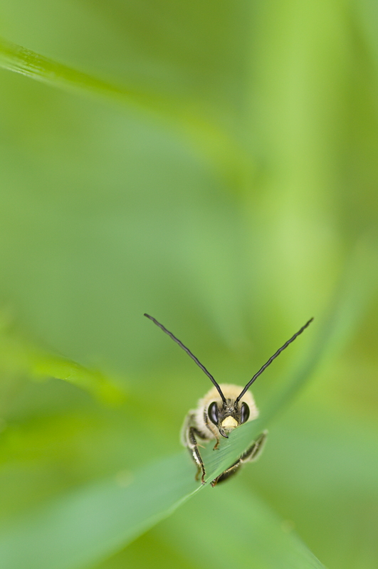 DSC_6759-1.jpg