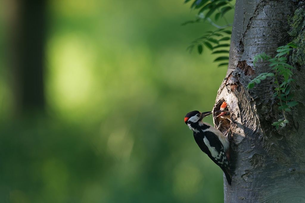 _DSC3959_DxO.jpg