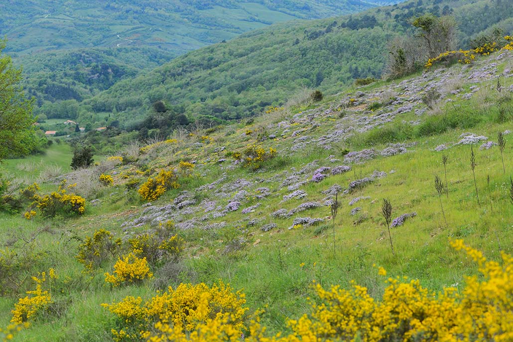 38-Bugarach.jpg
