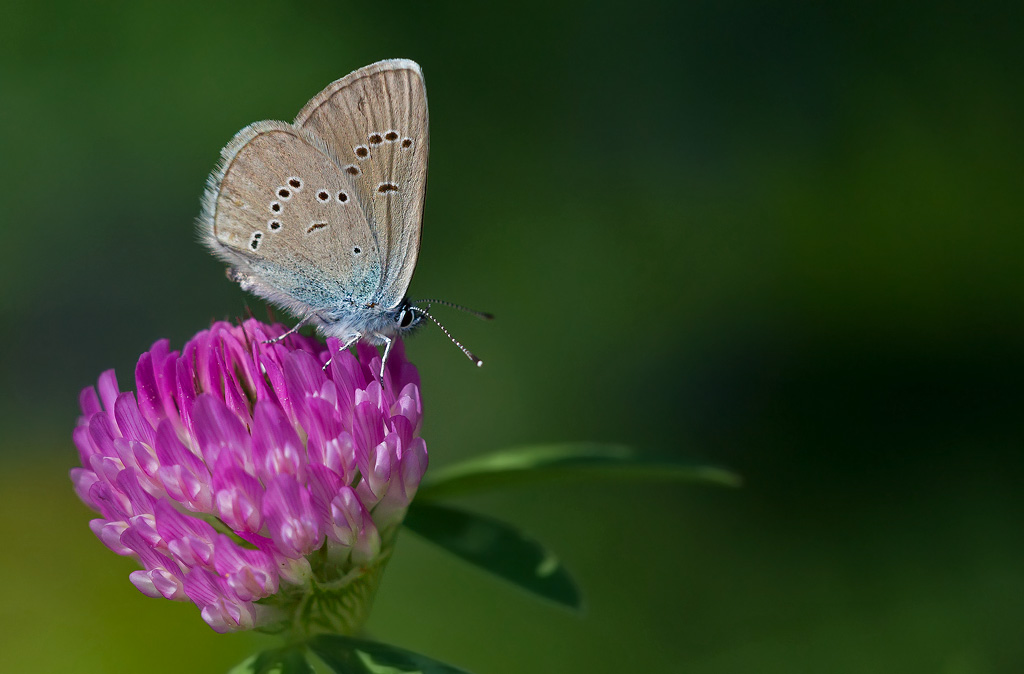 _73Y0965.jpg