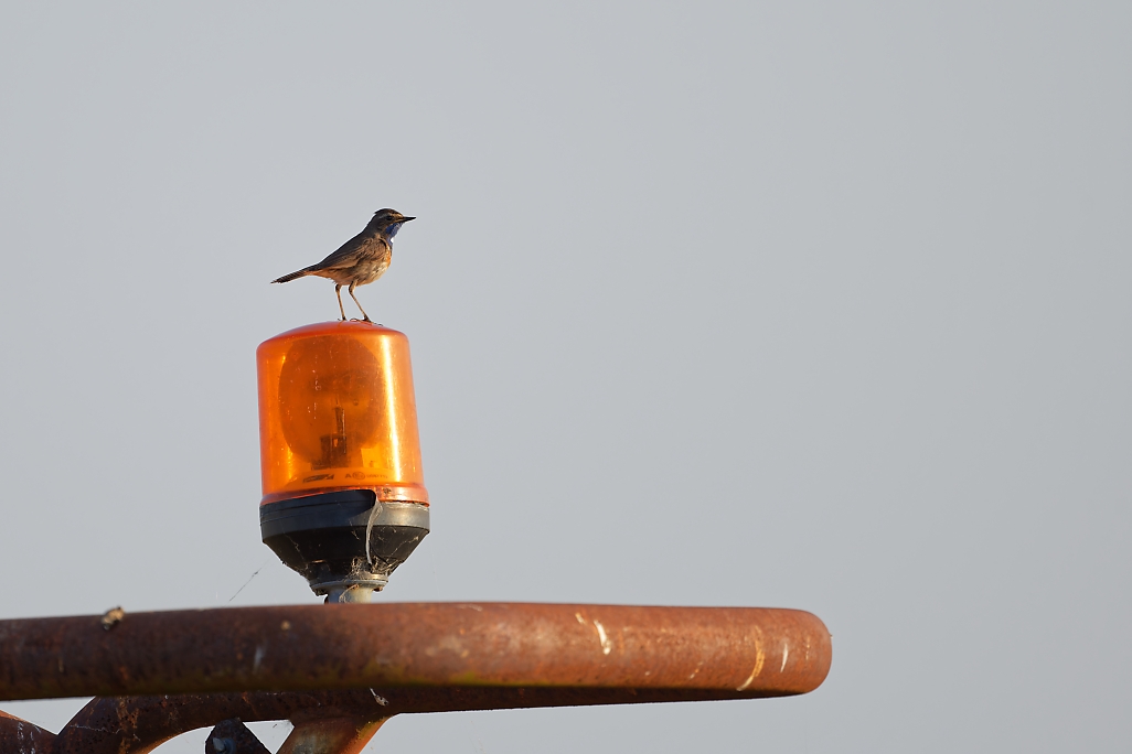 DSC_9267_DxO-1.jpg