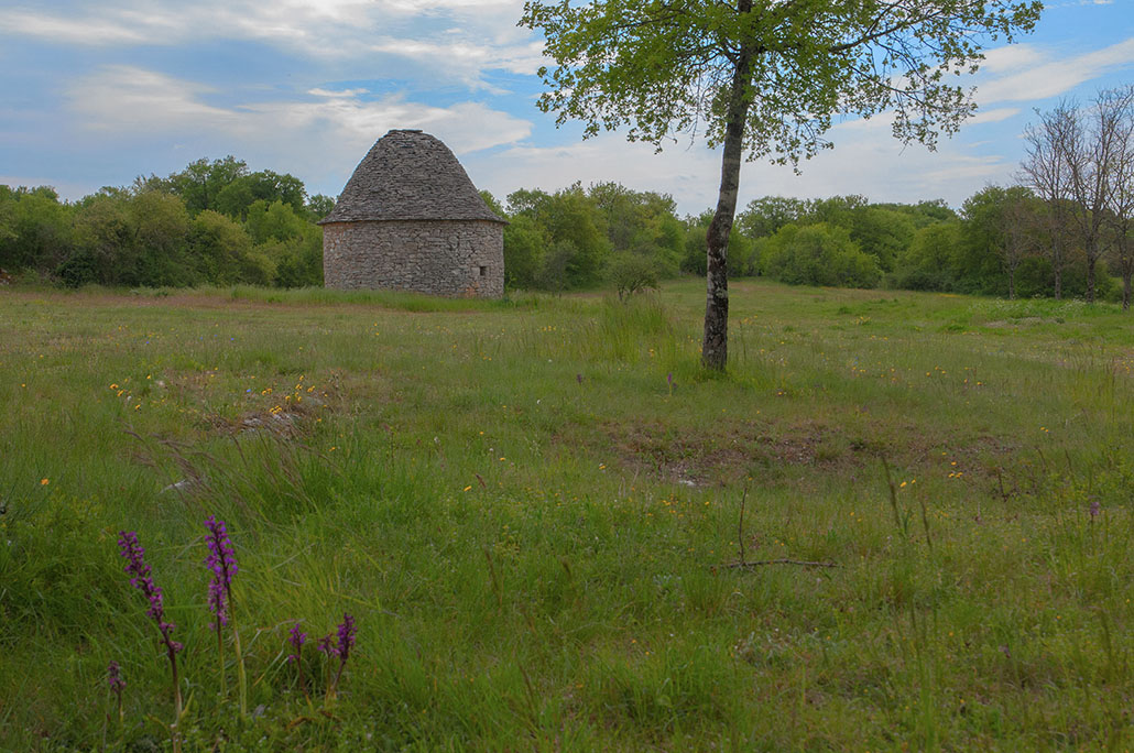 61-Paysage du Lot (2).jpg