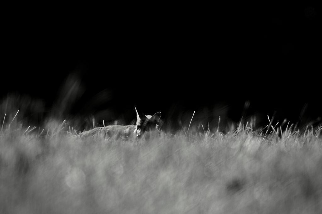 EH7A8209_01_02.jpg