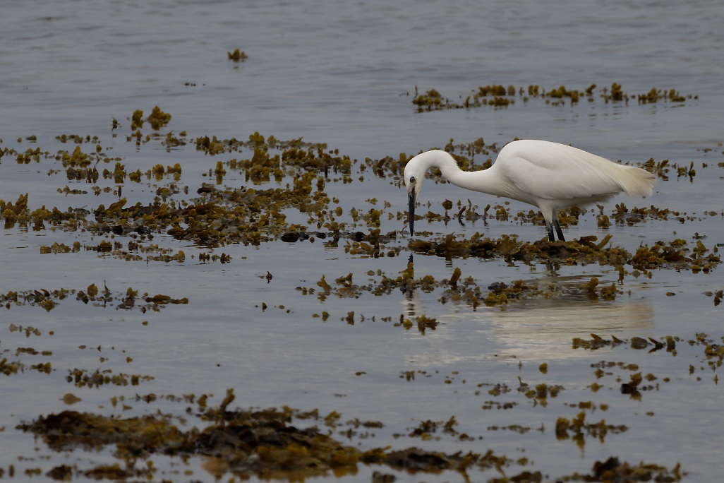 DSC_9369_DxO.jpg