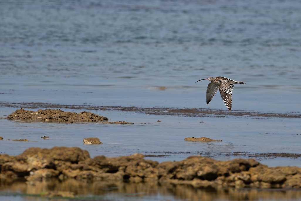 DSC_9404_DxO.jpg