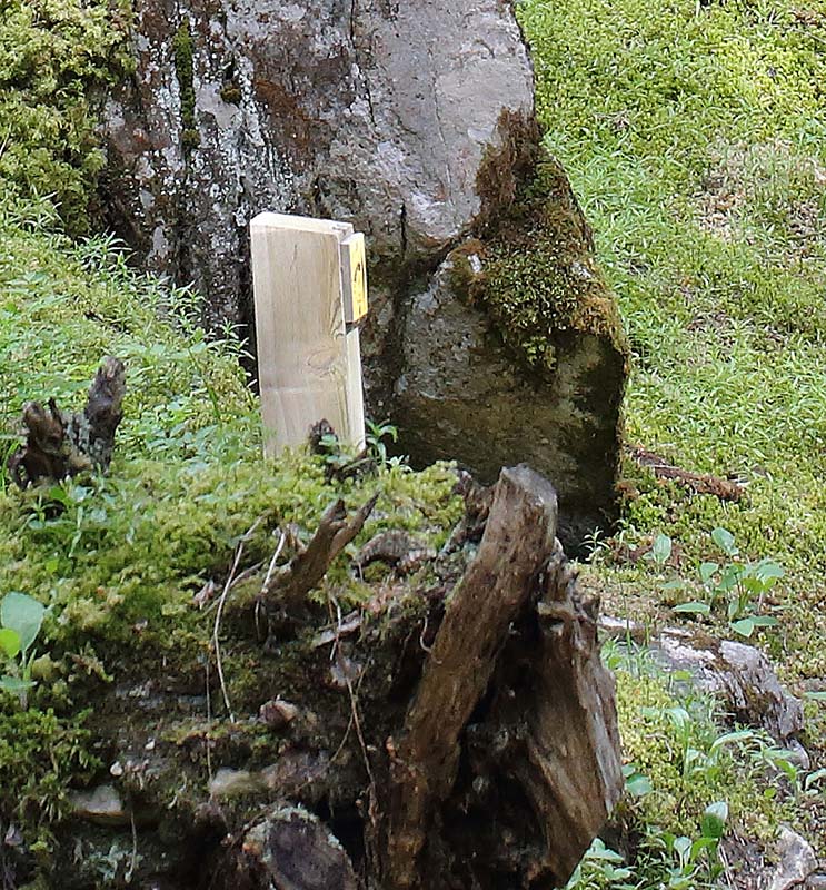 borne.jpg