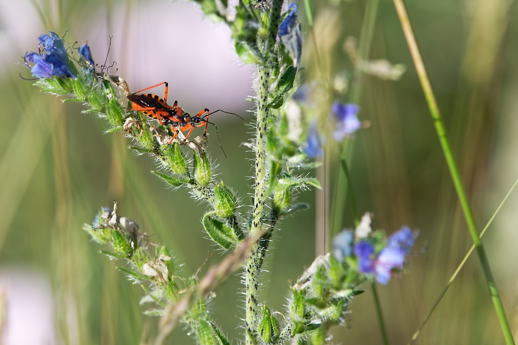 DSC_0072_DxO.jpg