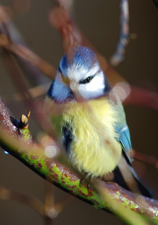 Quel regard...+.jpg