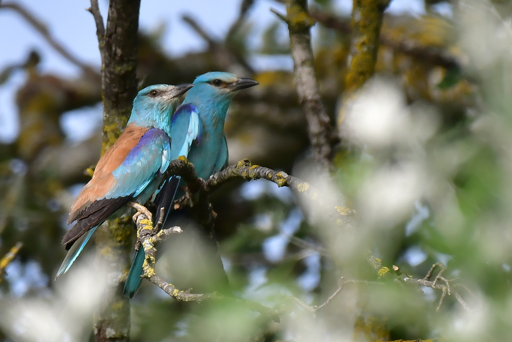 DSC_5414.JPG