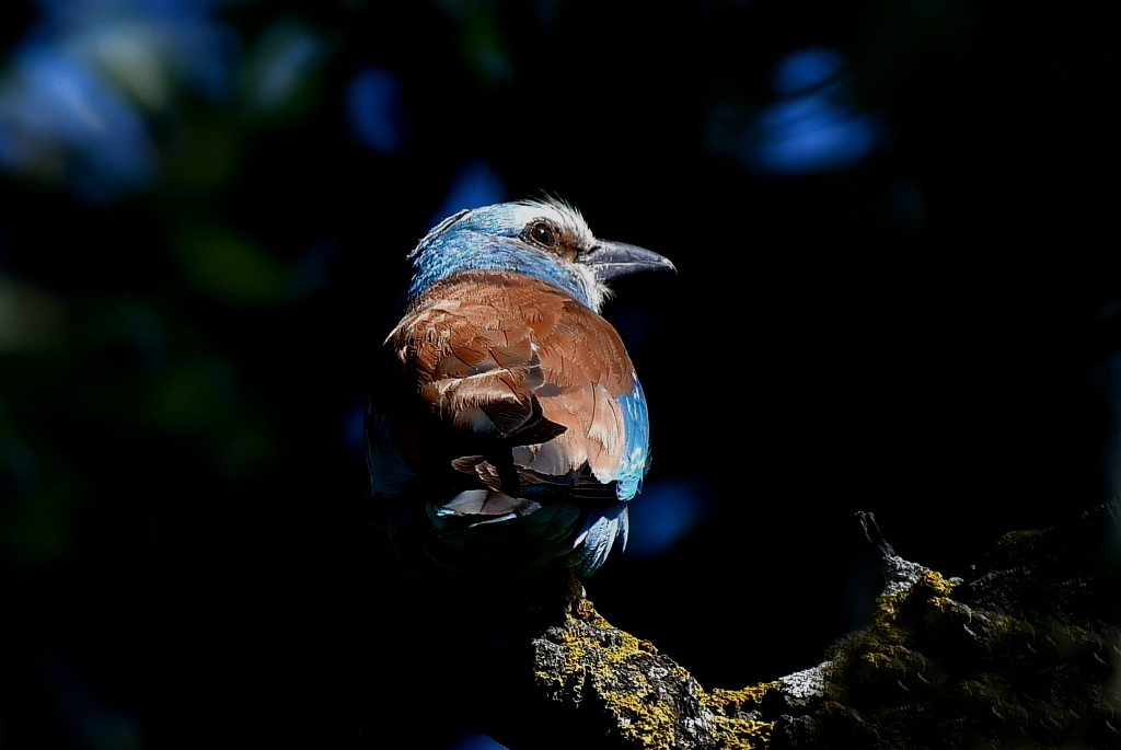DSC_5753.JPG