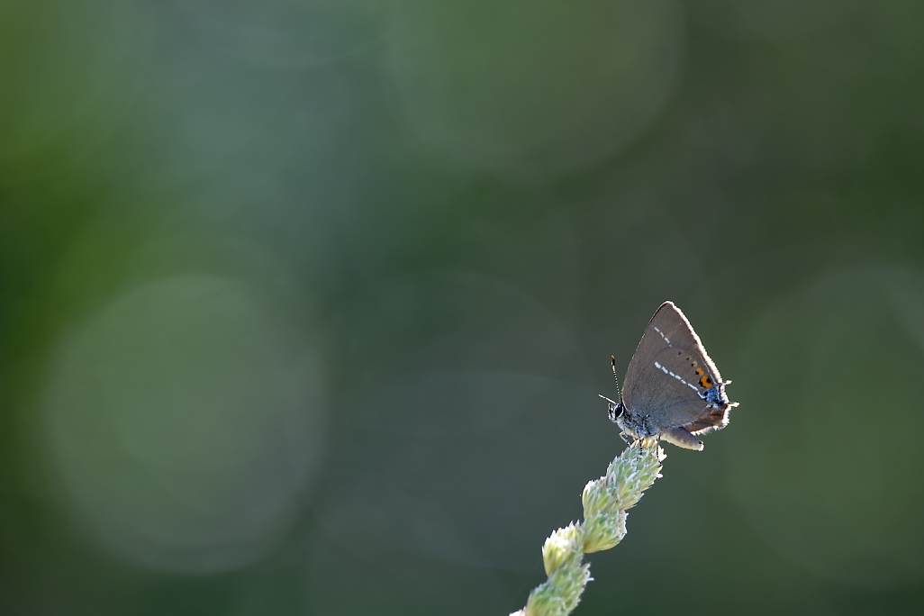 DSC_0276_DxO.jpg