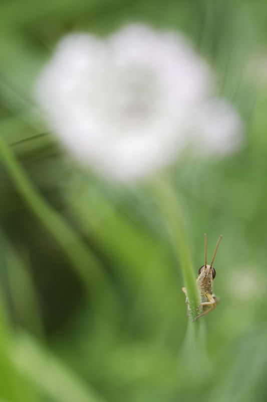_DSC9708_DxO_DxO.jpg