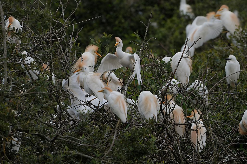 DSC_8097_DxO.jpg