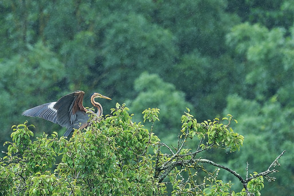 DSC_0574_DxO.jpg
