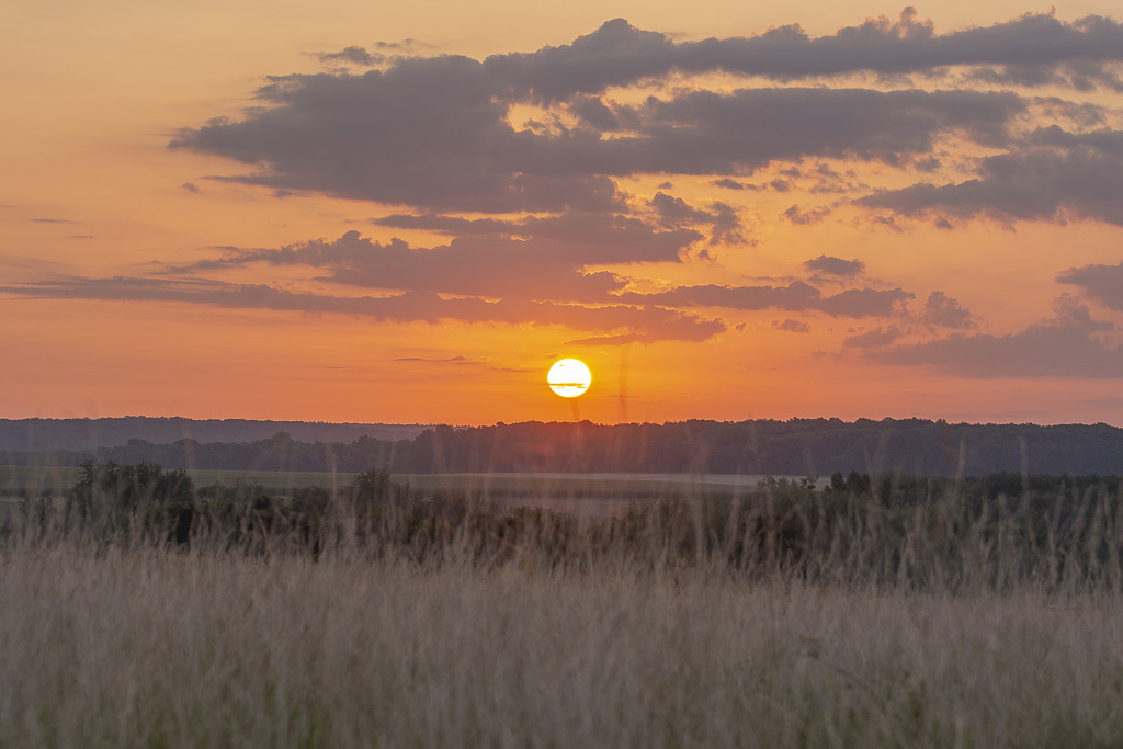 Levé de soleil-1-6.jpg